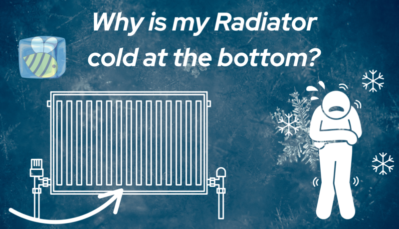 radiator cold at bottom