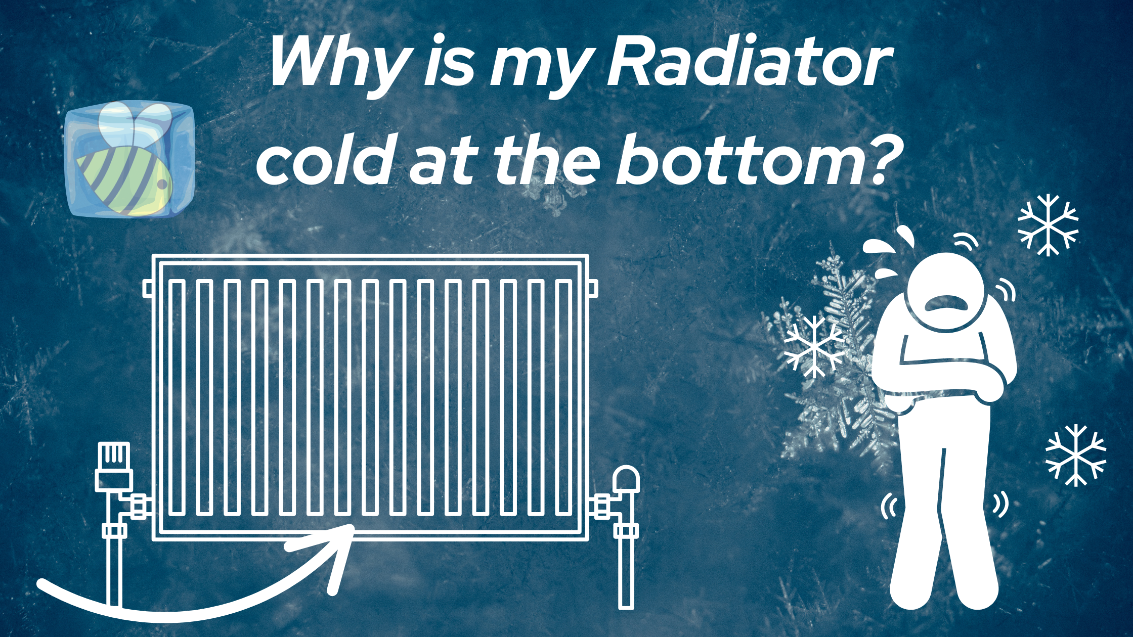 radiator cold at bottom