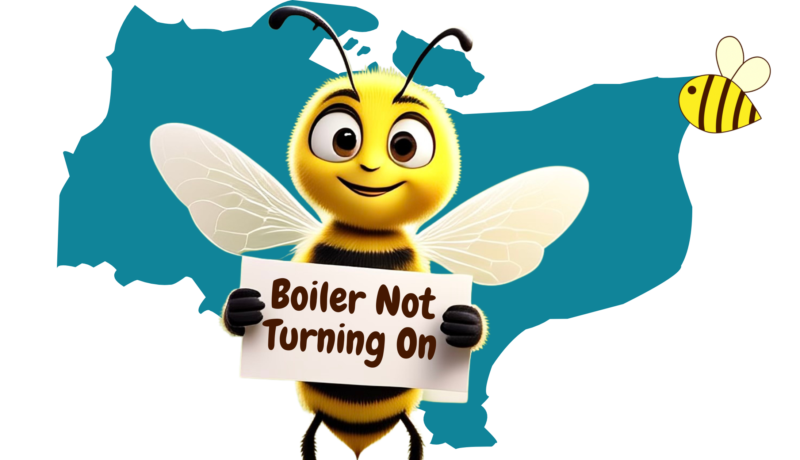 Boiler Not Turning On
