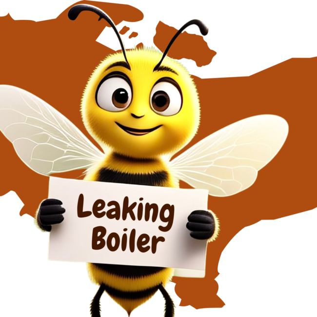 Leaking Boiler