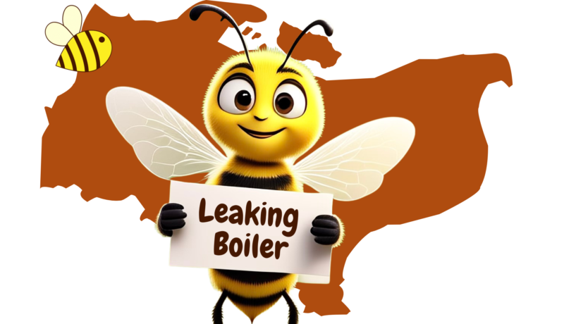 Leaking Boiler